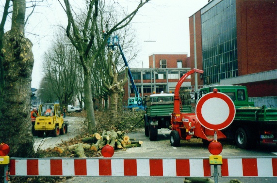 [Bild:]
